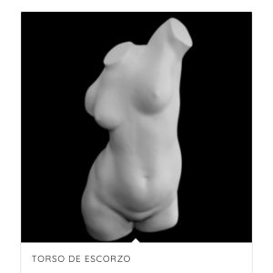 Torso de escorzo