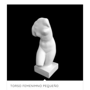 Torso Femenino Pequeño