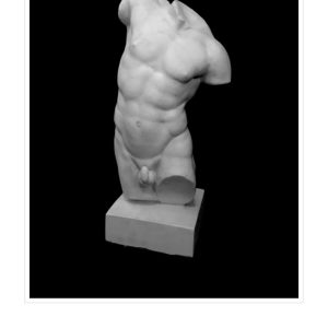 Torso Masculino Pequeño